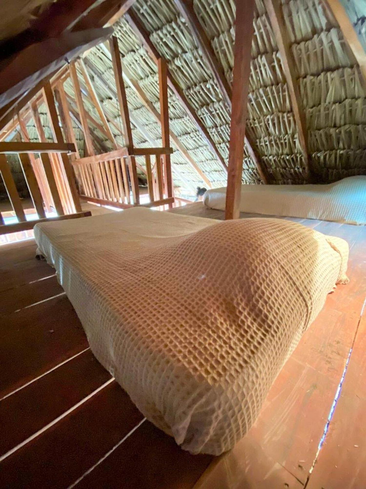 Casa Tropicana El Cuyo Exteriör bild